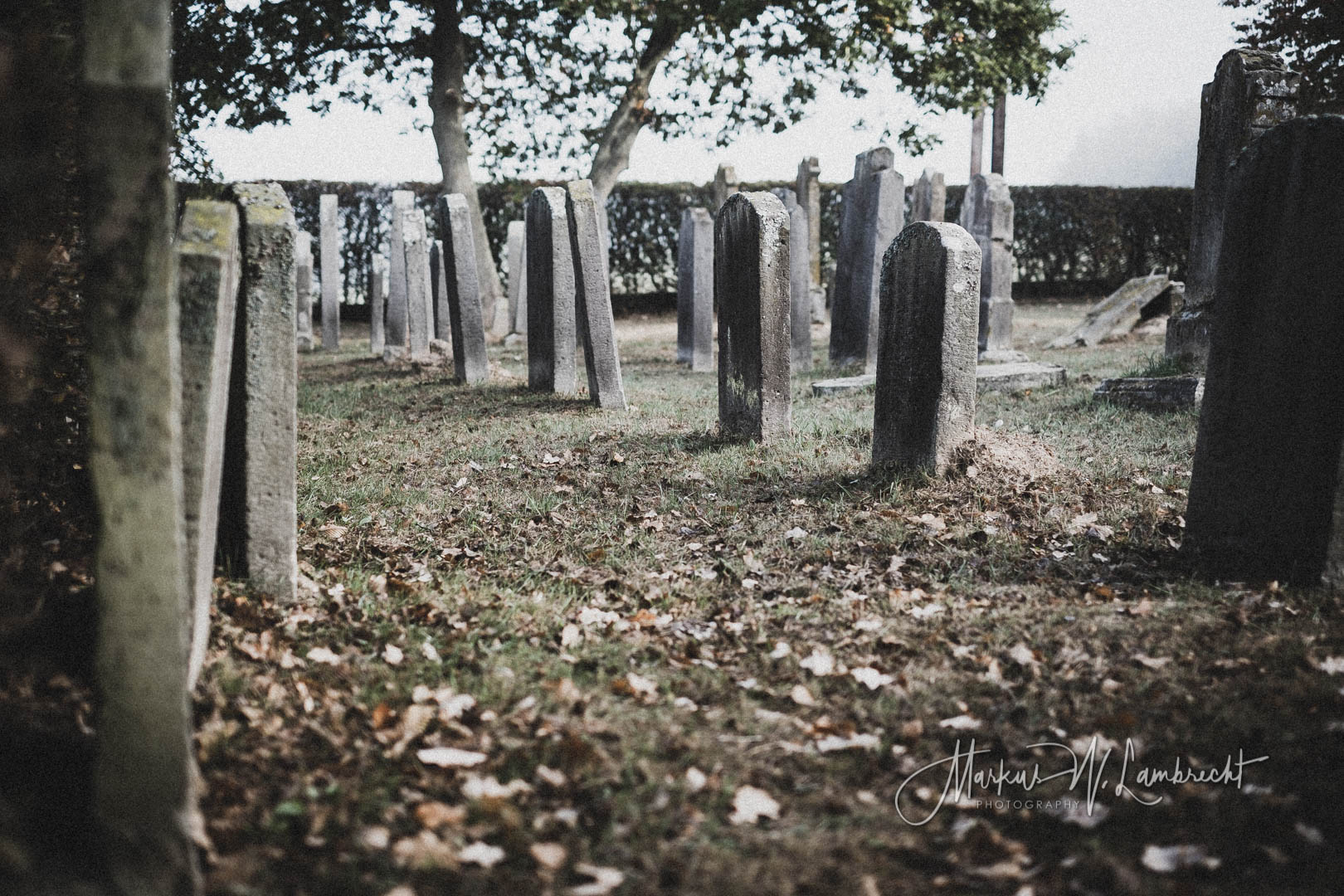 Langenschwarz, Jüdischer Friedhof